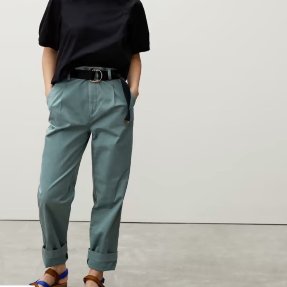 Everlane the pleated chino pants green balsam
